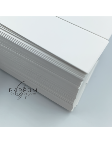 Lot de mouillettes 500 / 1000 pièces