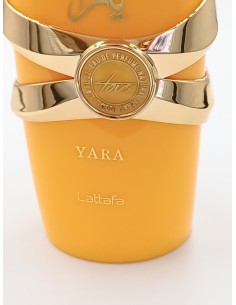 Tous - Pêche YARA 2